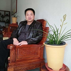 刘华